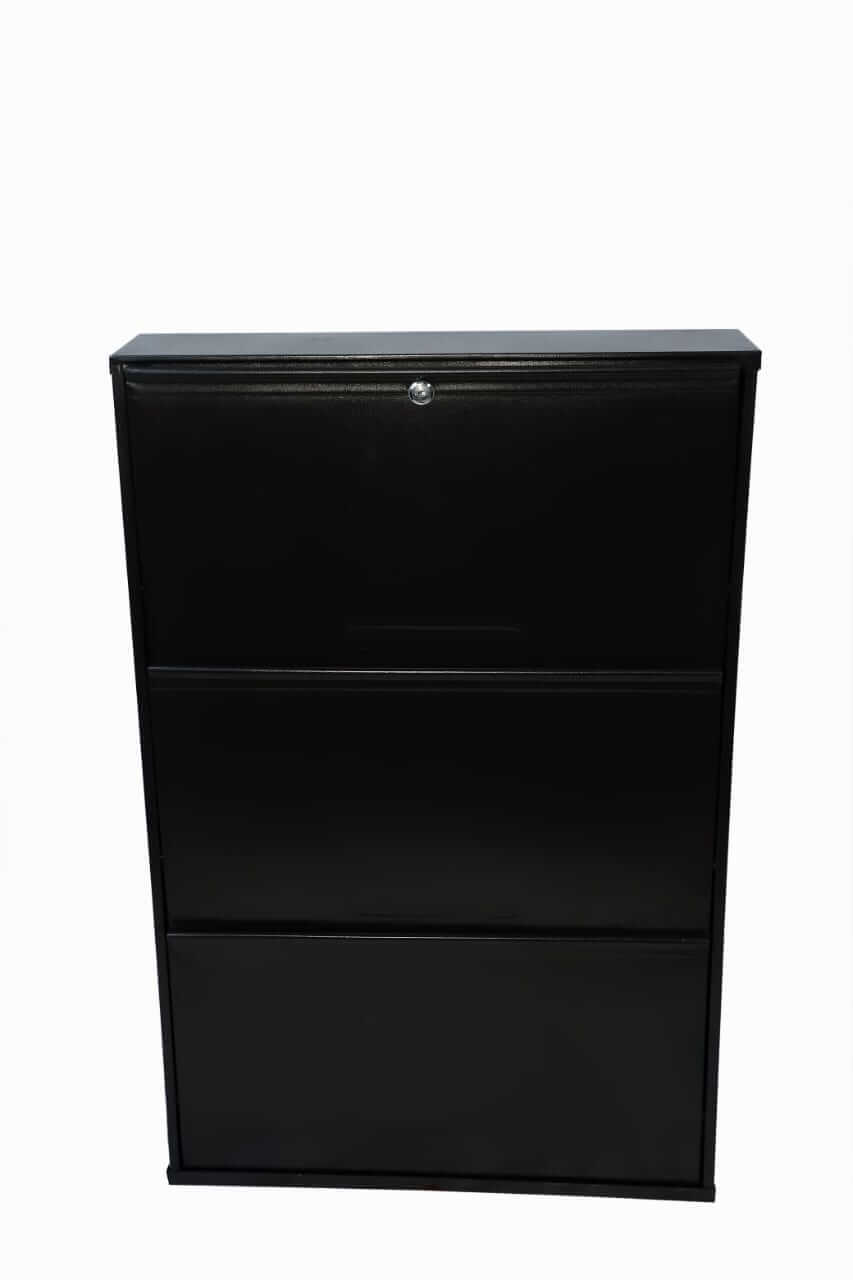   Wall Mounted Shoe Cabinet Supplier in India